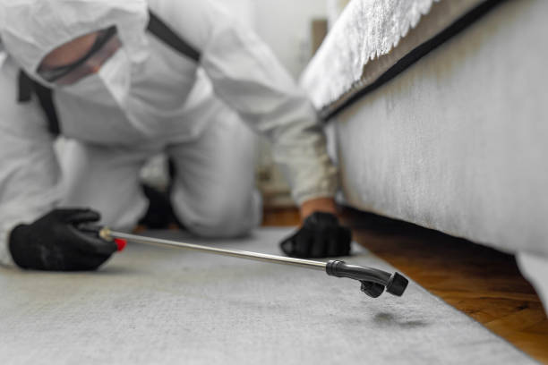 Professional Pest Control technician working in Santa Teresa, NM
