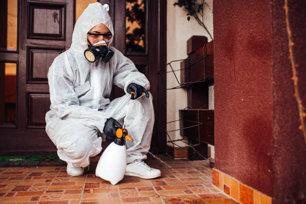 Reliable Cockroach Control contractor in Santa Teresa, NM by Nex Pest Control