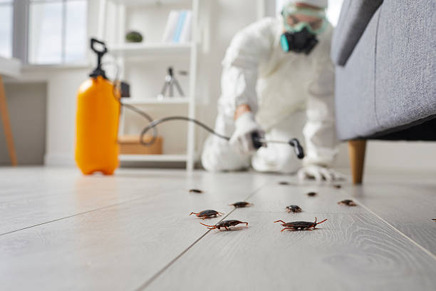 Trusted Fumigation Services service in Santa Teresa, NM - Nex Pest Control